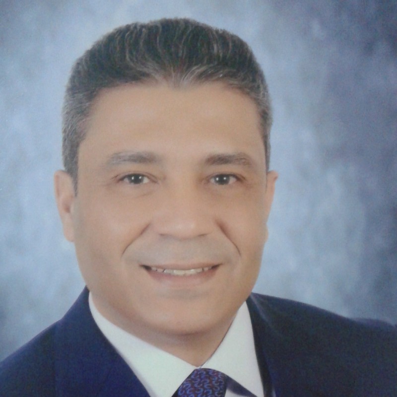 Mr. Mamdouh Mamdouh Basem